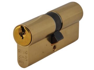 Abus Mechanical E60NP Euro Double Cylinder Polished Brass 40mm / 50mm Box (4003318541803) ABUE60B4050