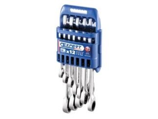 Expert E111137 Ratchet Spanner Set, 12 Piece (3258951111376) BRIE111137