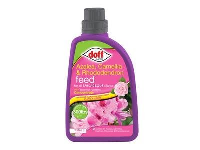Doff Azalia, Camellia, Rhododendron Feed Concentrate 1 litre (5013655218213) DOFFJZA00DOF