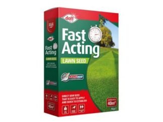 Doff Fast Growing Lawn Seed 1kg (5013655213416) DOFFLCA00DOF