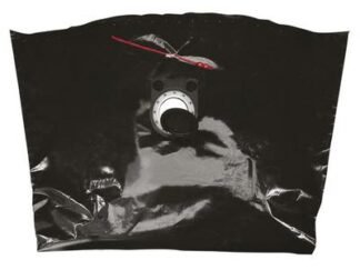 Metabo ASR PE Disposable Bags 35/50 litre (Pack 5) (4007430196194) MPT630325