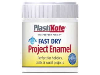 Plastikote Fast Dry Enamel Paint B5 Bottle Matt White 59ml (5055018107192) PKTB5W