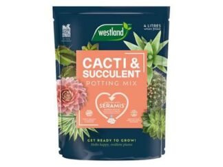 Westland Cacti & Succulent Potting Mix 4 litre (5023377025020) WLD10200094