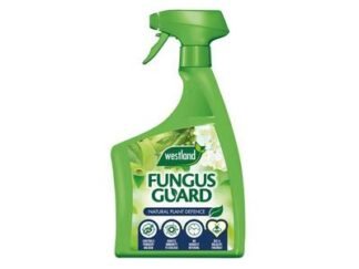 Westland Fungus Guard 800ml (5023377024771) WLD20300660