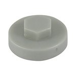 TIMCO 19mm Hex Head Cover Caps - White Aluminium (5055893311820) Bag 1000 Pieces 19RAL9006CAP