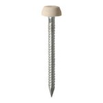 TIMCO 25mm Polymer Headed Pins - A4 Stainless Steel - Beige (5055331816320) Box 250 Pieces PP25BEIGE