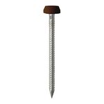 TIMCO 25mm Polymer Headed Pins - A4 Stainless Steel - Mahogany (5055331816306) Box 250 Pieces PP25M