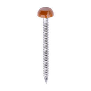 TIMCO 30mm Polymer Headed Pins - A4 Stainless Steel - Clay Brown (5055893377062) Box 250 Pieces PP30CB