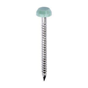TIMCO 30mm Polymer Headed Pins - A4 Stainless Steel - Chartwell Green (5055893377048) Box 250 Pieces PP30CG