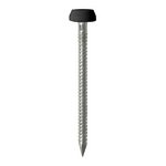 TIMCO 40mm Polymer Headed Pins - Stainless Steel - Black (5055893385227) TIMpac 50 Pieces PP40BLP