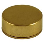 TIMCO 12mm Threaded Screw Caps - Solid Brass - Polished Brass (5055893377987) TIMpac 4 Pieces TSC12PBP