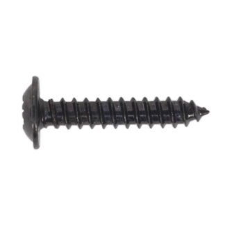Sealey Self- Tapping Pozi Flanged Head Screw 3.5 x 19mm, Black - Pack of 100 (5054511058017) BST3519