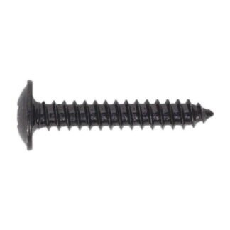 Sealey Self- Tapping Pozi Flanged Head Screw 4.2 x 25mm, Black - Pack of 100 (5054511058130) BST4225