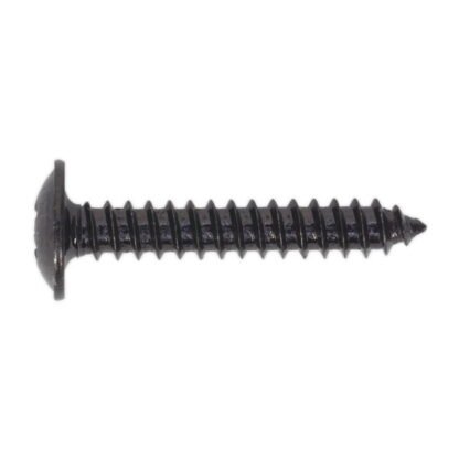 Sealey Self- Tapping Pozi Flanged Head Screw 4.2 x 25mm, Black - Pack of 100 (5054511058130) BST4225