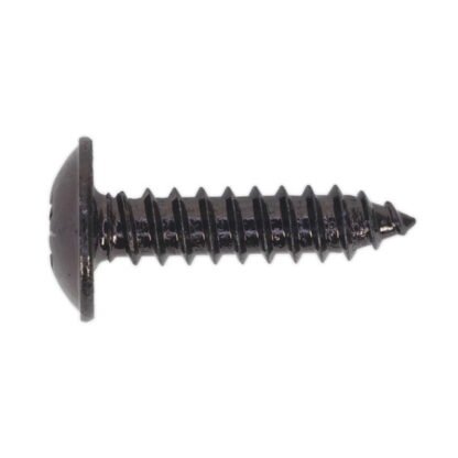 Sealey Self- Tapping Pozi Flanged Head Screw 4.8 x 19mm, Black - Pack of 100 (5054511058291) BST4819