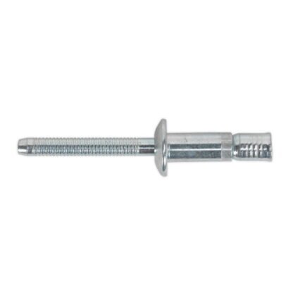 Sealey Zinc Plated Steel Structural Rivet 6.3 x 32mm - Pack of 100 (5054511003864) MB6332