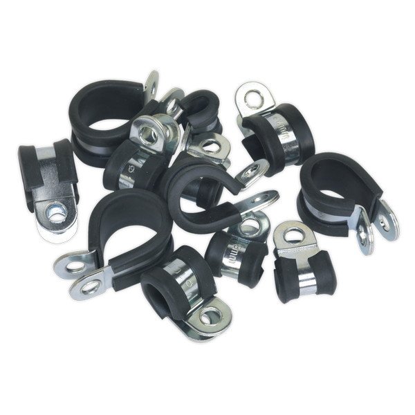 Sealey Rubber Lined P- Clip Assortment 60pc (5054511004519) PCJASS