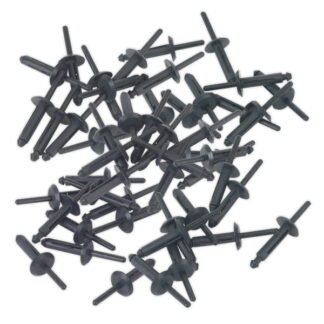 Sealey Plastic Rivet 6.3 x 25.2mm - Pack of 50 (5024209912167) PR002