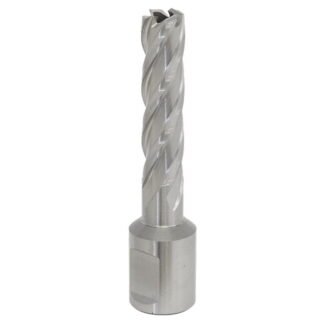 Sealey Worksafe® 12mm HSS Mag Drill Bit Cut Depth 50mm (5055111211475) RBHSS12L