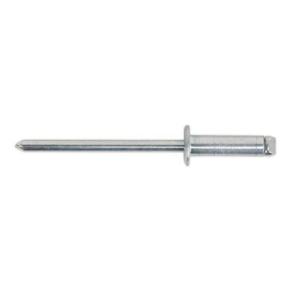 Sealey Steel Standard Flange Rivet 4.8 x 16.5mm - Pack of 200 (5054511355123) RS48615