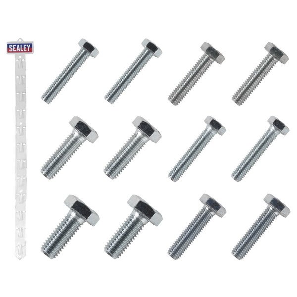 Sealey Clip Strip Deal - Set Screws (5054630310690) SCREWSET