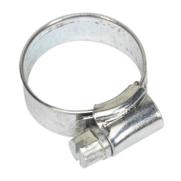 Sealey Zinc Plated Hose Clip 16- 22mm - Pack of 30 (5054511003055) SHC0