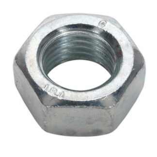 Sealey Zinc Plated Steel Nut M20, DIN 934 - Pack of 10 (5054511039207) SN20