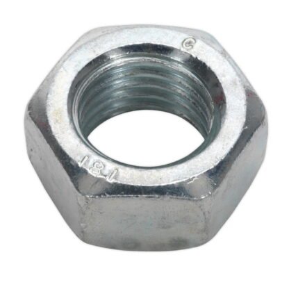 Sealey Zinc Plated Steel Nut M20, DIN 934 - Pack of 10 (5054511039207) SN20