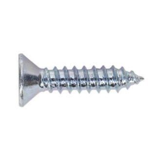 Sealey Self- Tapping Countersunk Pozi Screw 4.2 x 19mm, DIN 7982 - Pack of 100 (5054511059908) ST4219