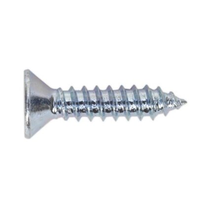 Sealey Self- Tapping Countersunk Pozi Screw 4.2 x 19mm, DIN 7982 - Pack of 100 (5054511059908) ST4219