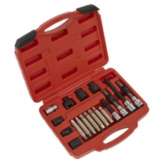 Sealey Alternator Freewheel Pulley Removal Set 18pc (5051747438149) SX402