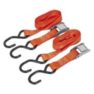 Sealey Cam Buckle Strap Polyester Webbing with S- Hooks 25mm x 2.5m 500kg Breaking Strength (5051747807433) TD05025CS