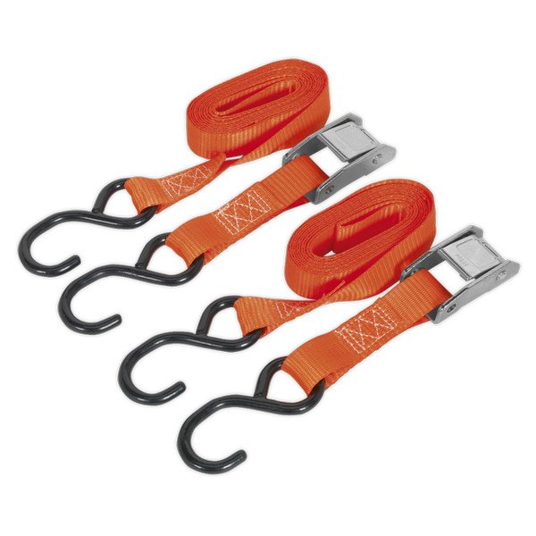 Sealey Cam Buckle Strap Polyester Webbing with S- Hooks 25mm x 2.5m 250kg Breaking Strength (5051747807419) TD2525CS