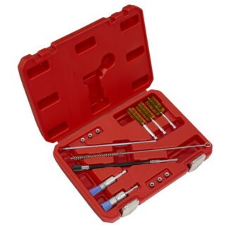 Sealey Injector Bore Cleaning Brush Set 14pc (5054630572784) VS1900