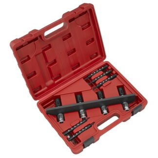 Sealey Petrol Fuel Injection Removal/Installation Kit for BMW & Mini (5054630574405) VS2081