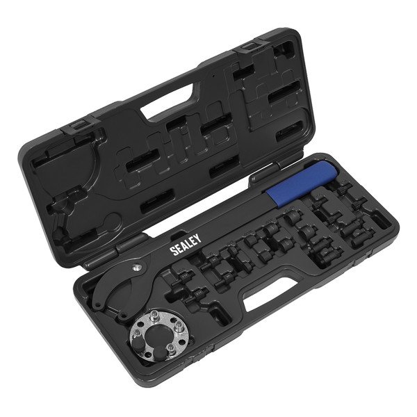 Sealey Pulley Holding/Turning Set for VAG 24pc (5054630533235) VS754